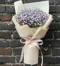 Букет цветов из:  Гипсофила #REPLACE_PRED# Баргузине