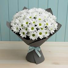 Букет цветов из:  Хризантемы #REPLACE_PRED# Баргузине