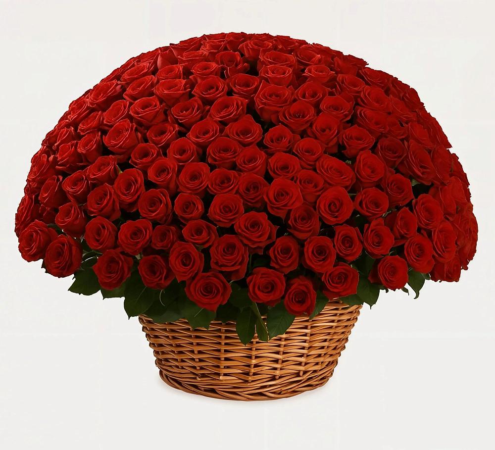 Премиум букет из: Розы в Баргузине