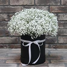 Цветочная композиция из Гипсофила в шляпной коробке в Баргузине