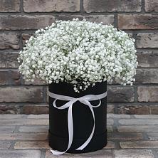 Цветочная композиция из Гипсофила в шляпной коробке в Баргузине