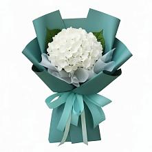 Букет цветов из:  Гортензия в Баргузине